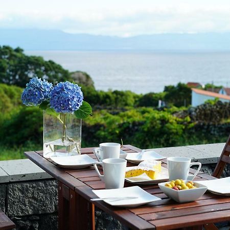 Terra Alta Casa Do Cedro Do Mato 빌라 외부 사진