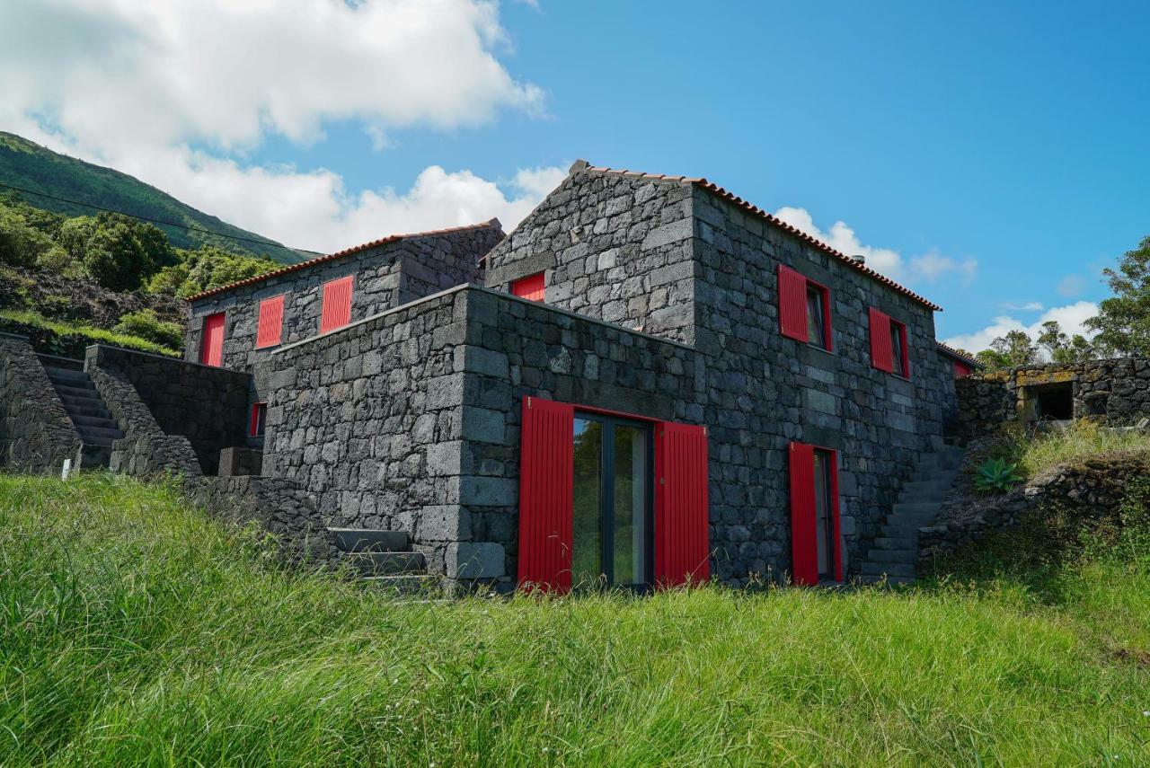 Terra Alta Casa Do Cedro Do Mato 빌라 외부 사진