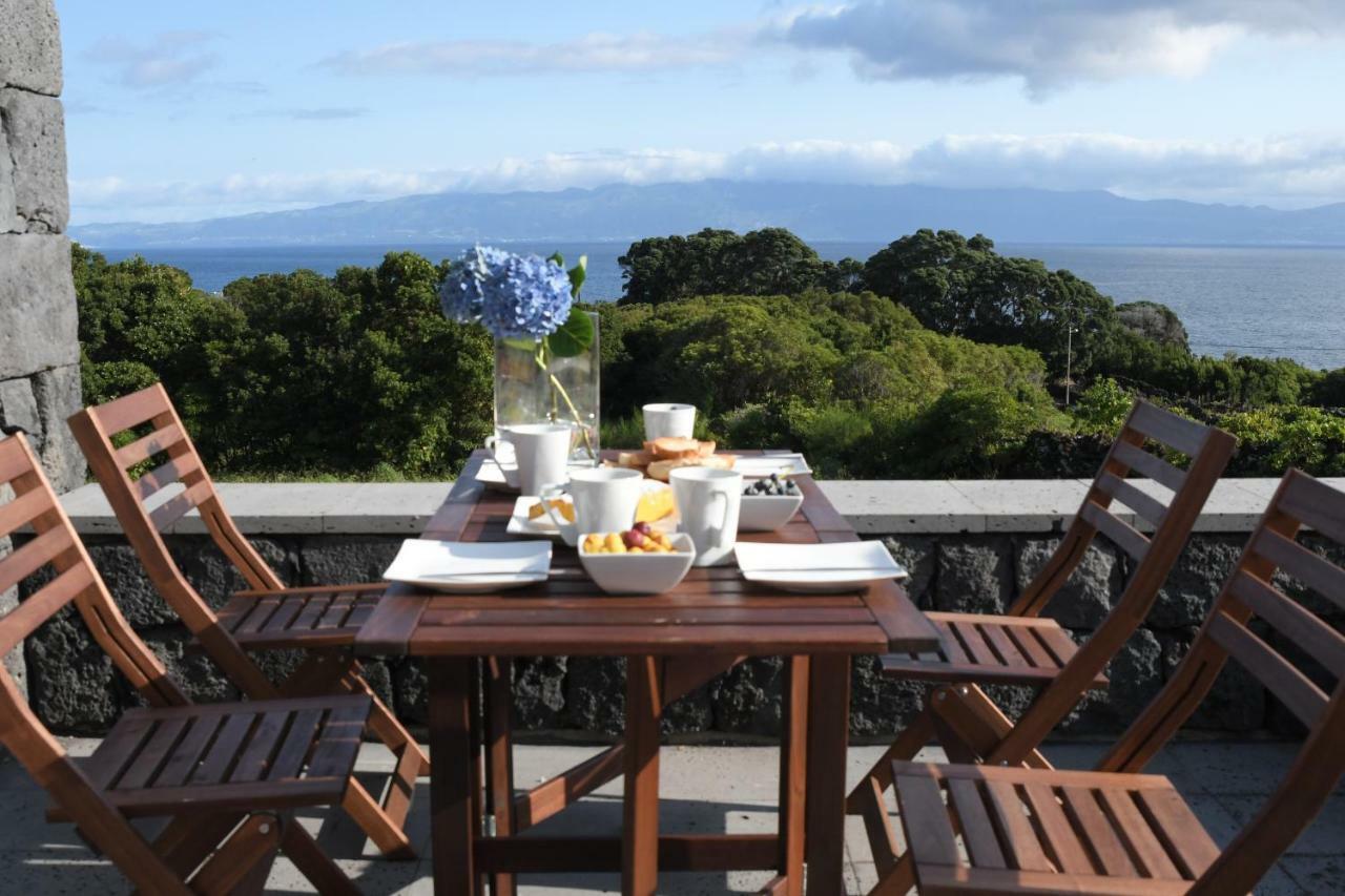Terra Alta Casa Do Cedro Do Mato 빌라 외부 사진