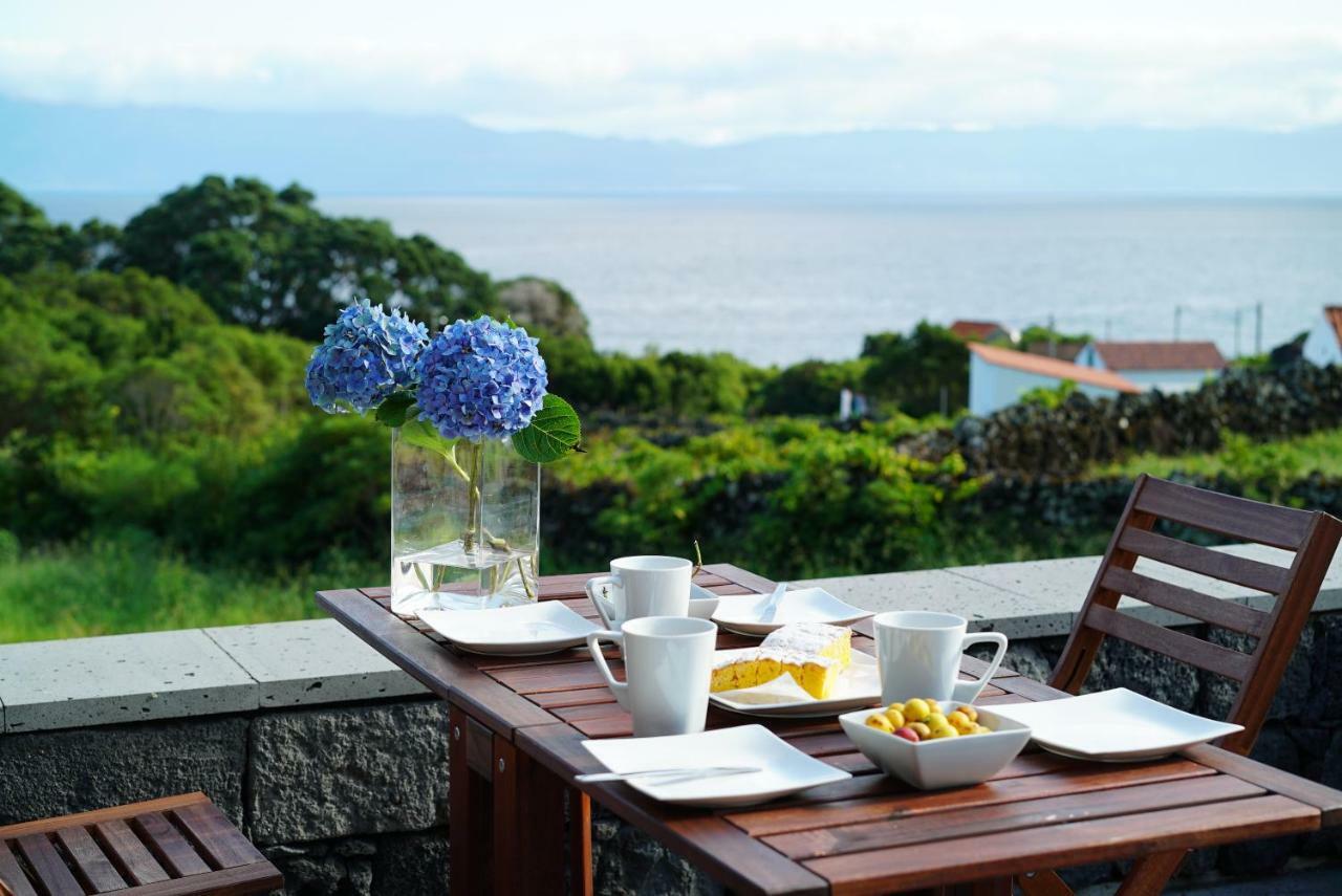 Terra Alta Casa Do Cedro Do Mato 빌라 외부 사진