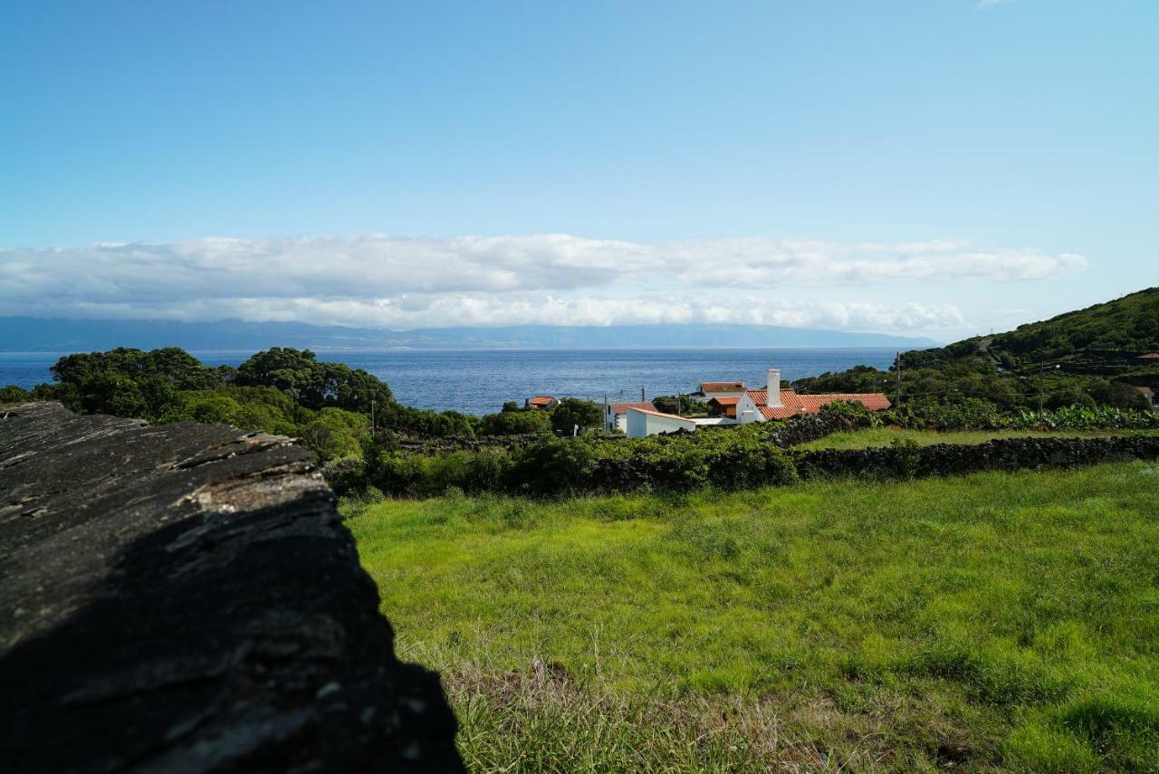 Terra Alta Casa Do Cedro Do Mato 빌라 외부 사진